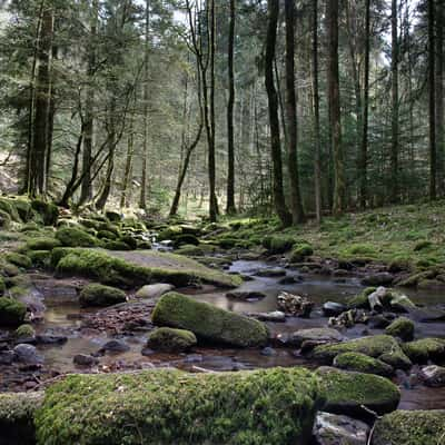 Monbachtal, Germany