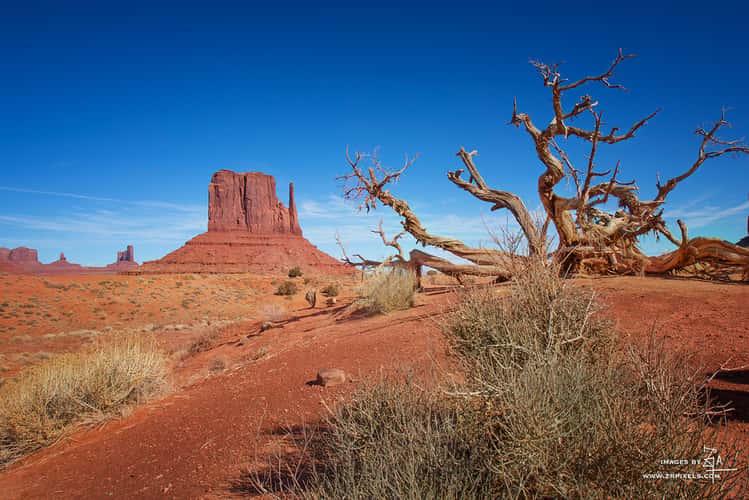 Monument Valley