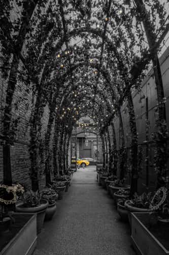 NOMO SOHO Hotel Entrance New York