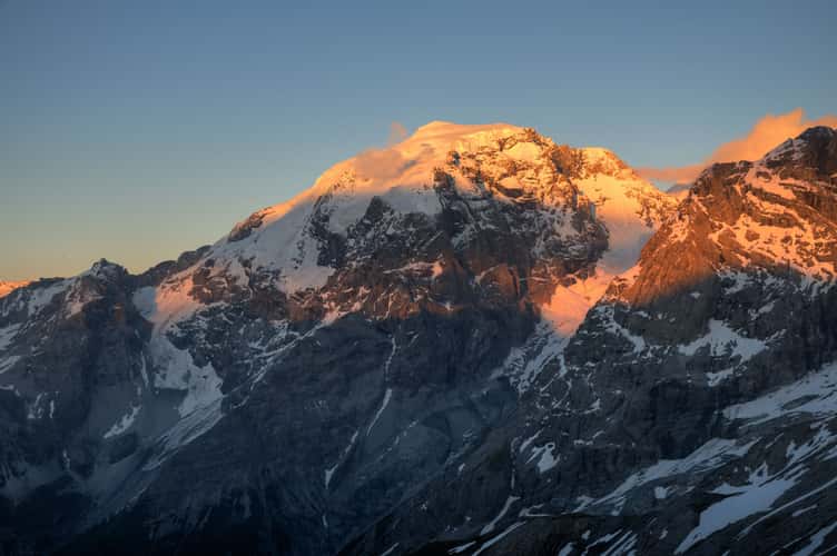 Ortler
