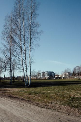 Oulu Day and Night