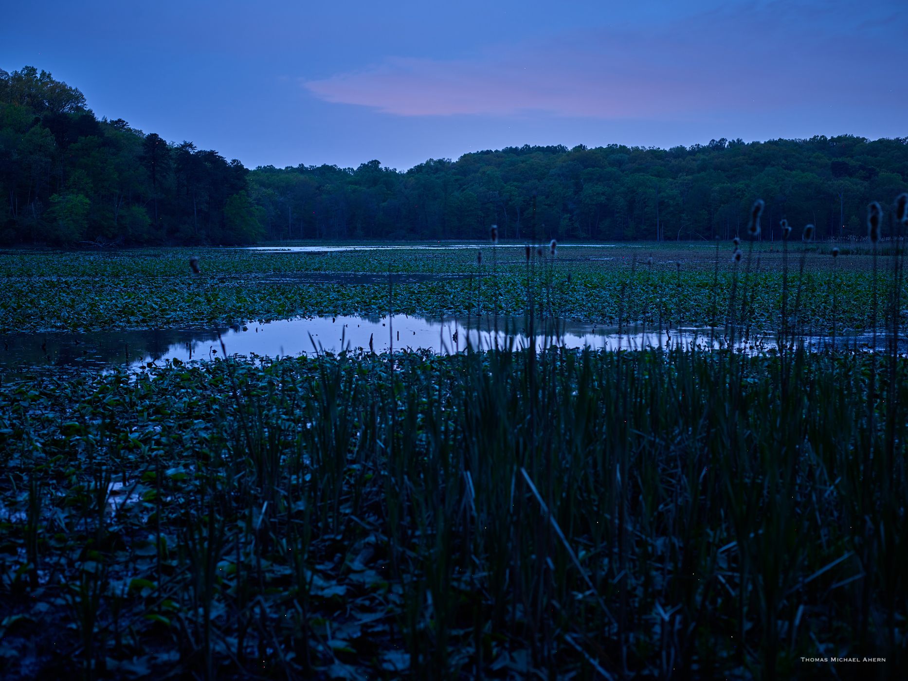 Oxbow Lake, USA