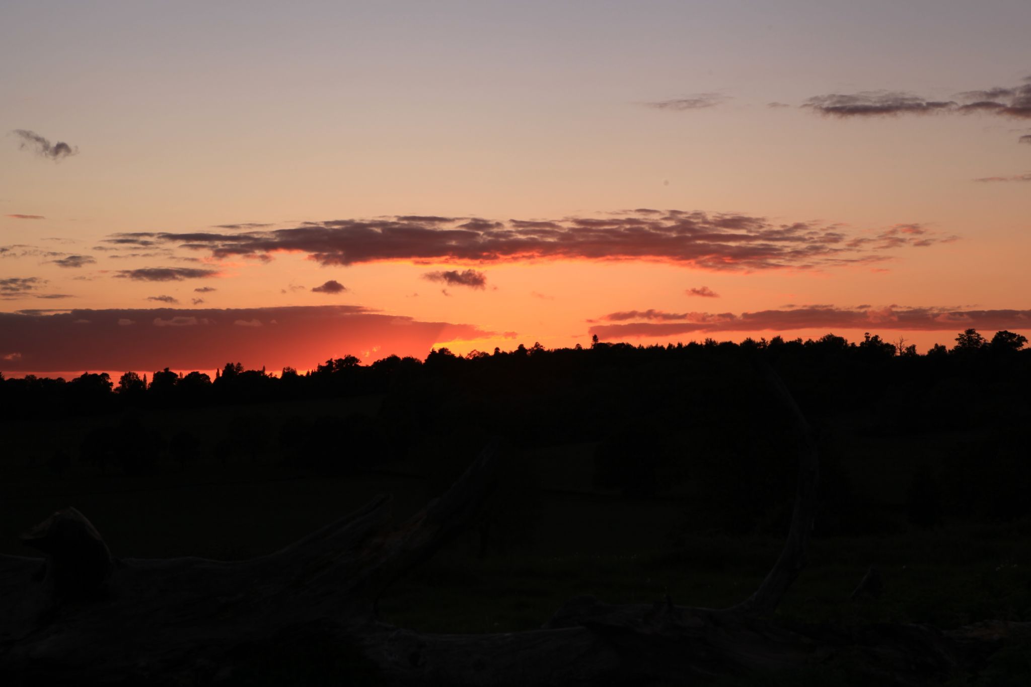Penshurst fields, United Kingdom
