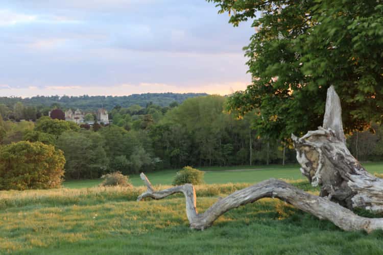 Penshurst fields