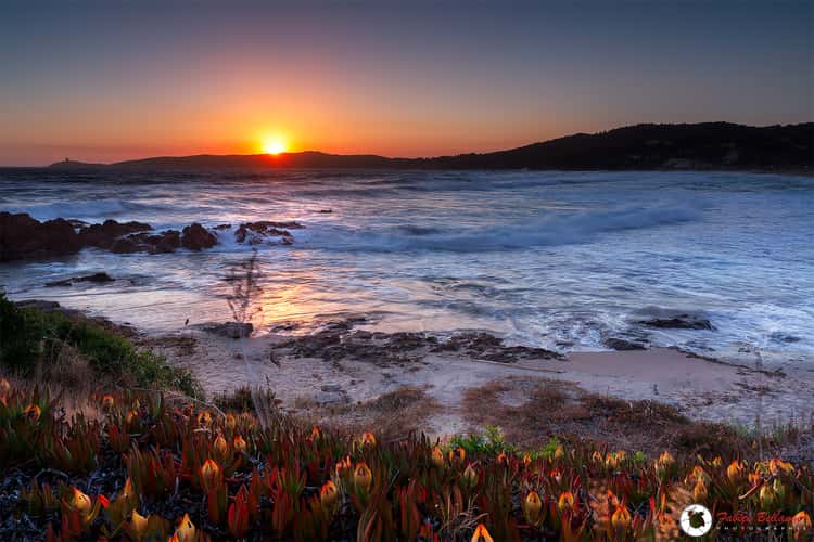 Plage de Cargese