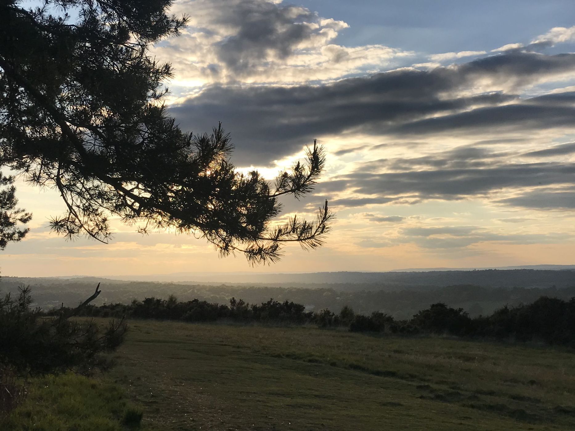 Pooh Walks, Ashdown Forest, United Kingdom