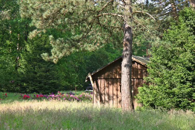Rhododendronwald, Dülmen