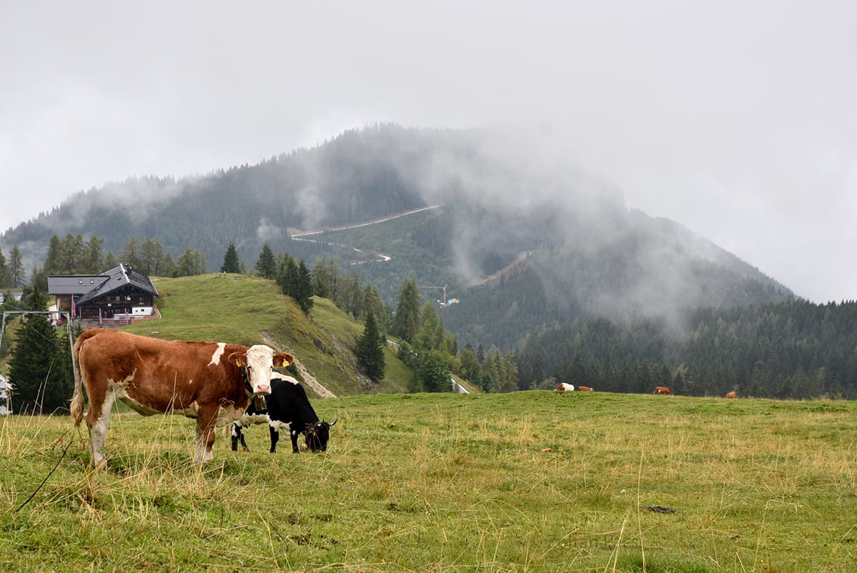 Roßfeld Panoramastraße, Austria