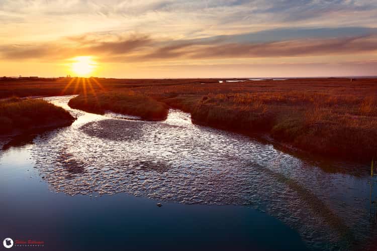 Salt Fields