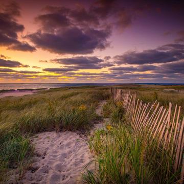 Sand dunes sunrise Chatham, USA
