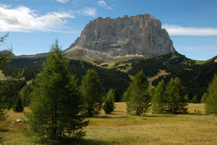 Sassolungo