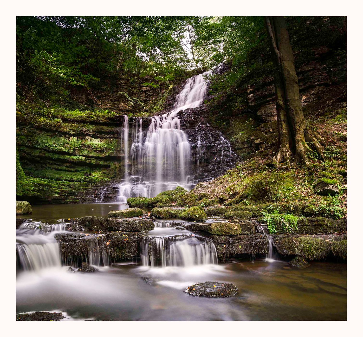 Scaleber Force Waterfall, United Kingdom