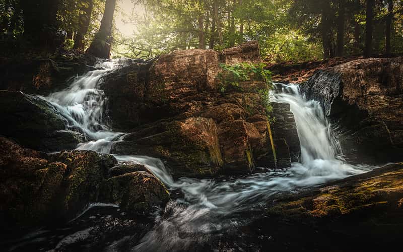 Selkefall - Saxony-Anhalt