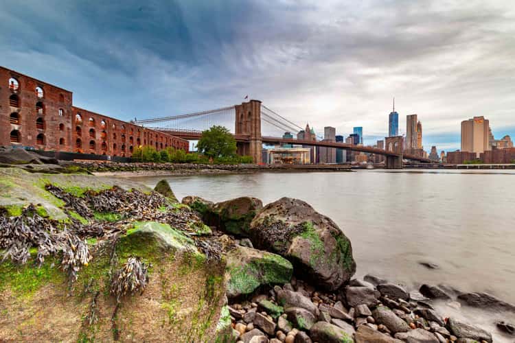 Shoreline Brooklyn Bridge Brooklyn