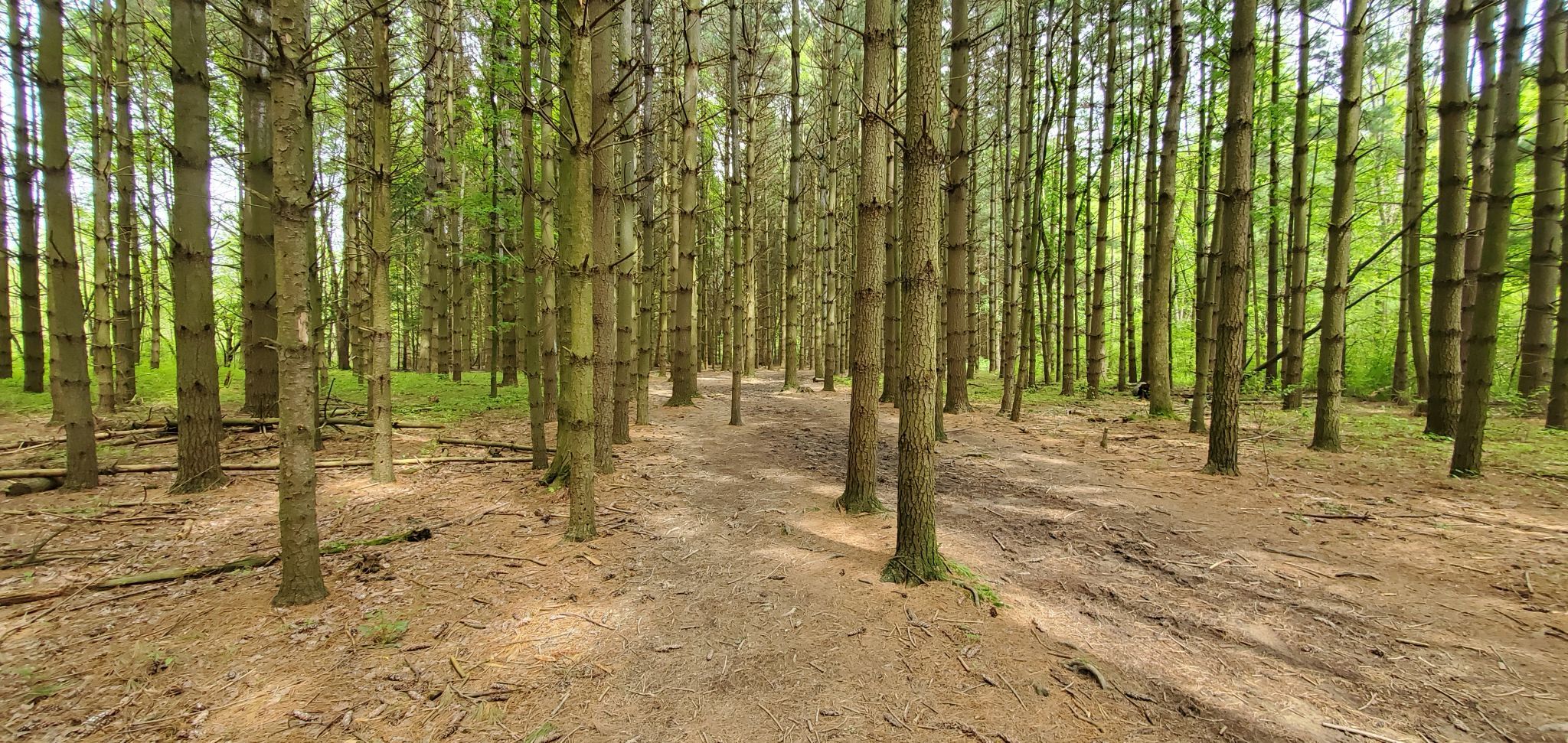 Silver Creek Metro Park , Norton OH, USA