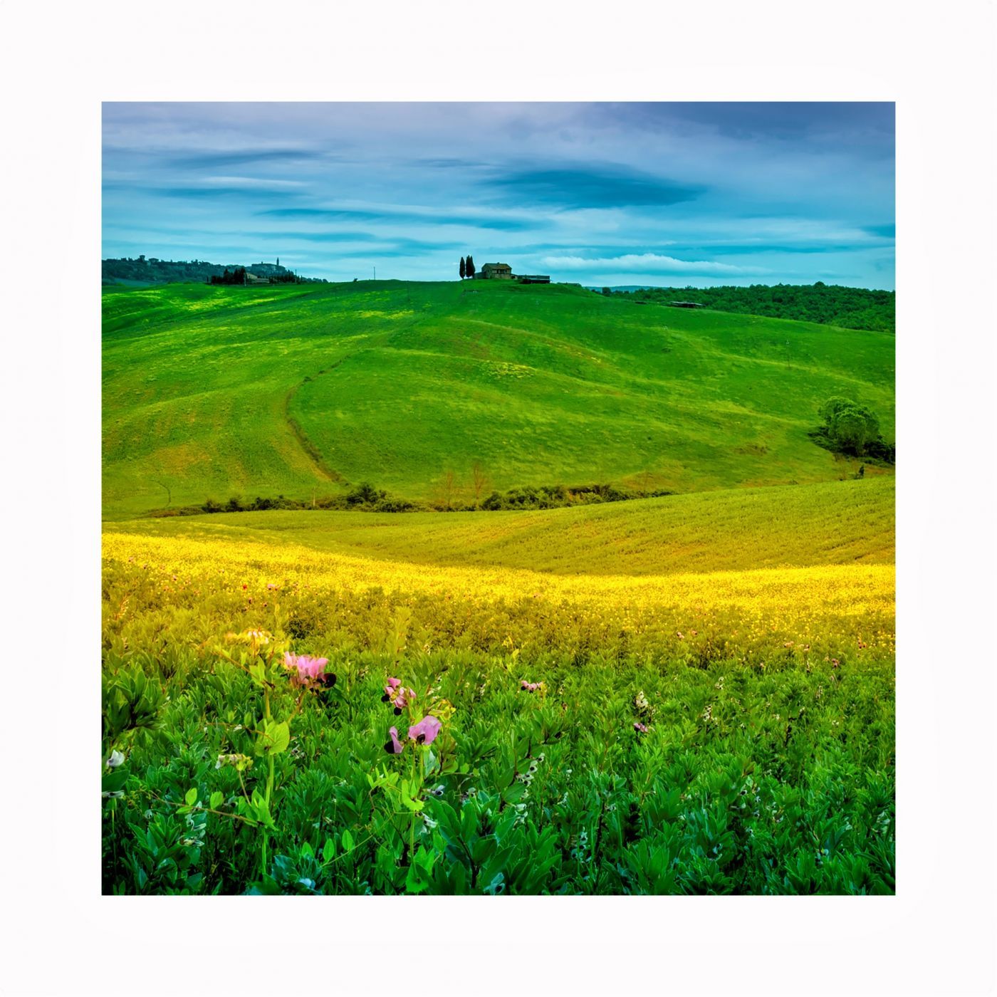 Spring in Val D'Orcia, Italy