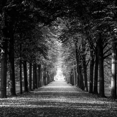 Stammheimer Schlosspark, Cologne, Germany