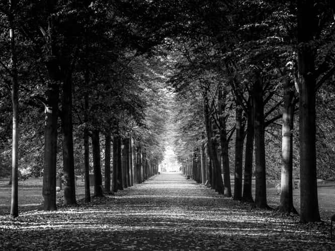 Stammheimer Schlosspark, Cologne