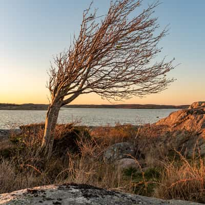 Stora Överön, Sweden