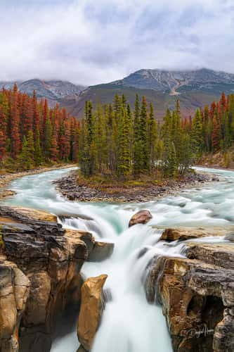 Sunwapta Falls from the Bridge