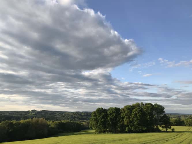 Sussex Fields