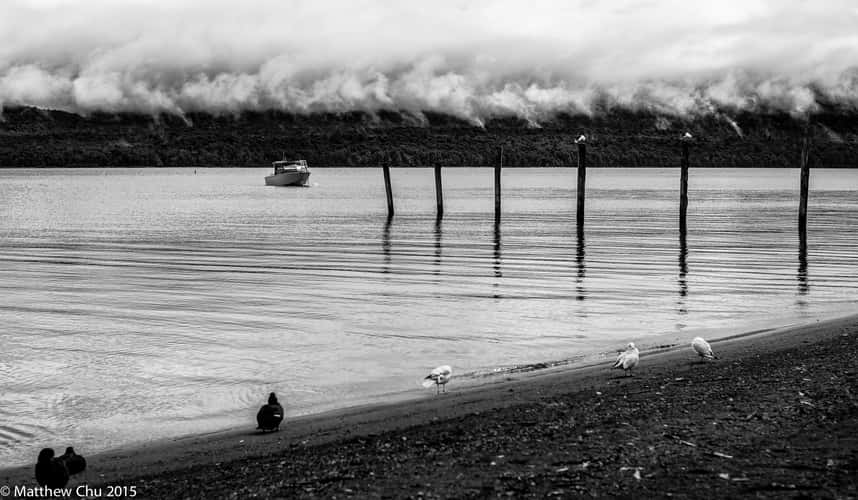 Te Anau Lakeshore