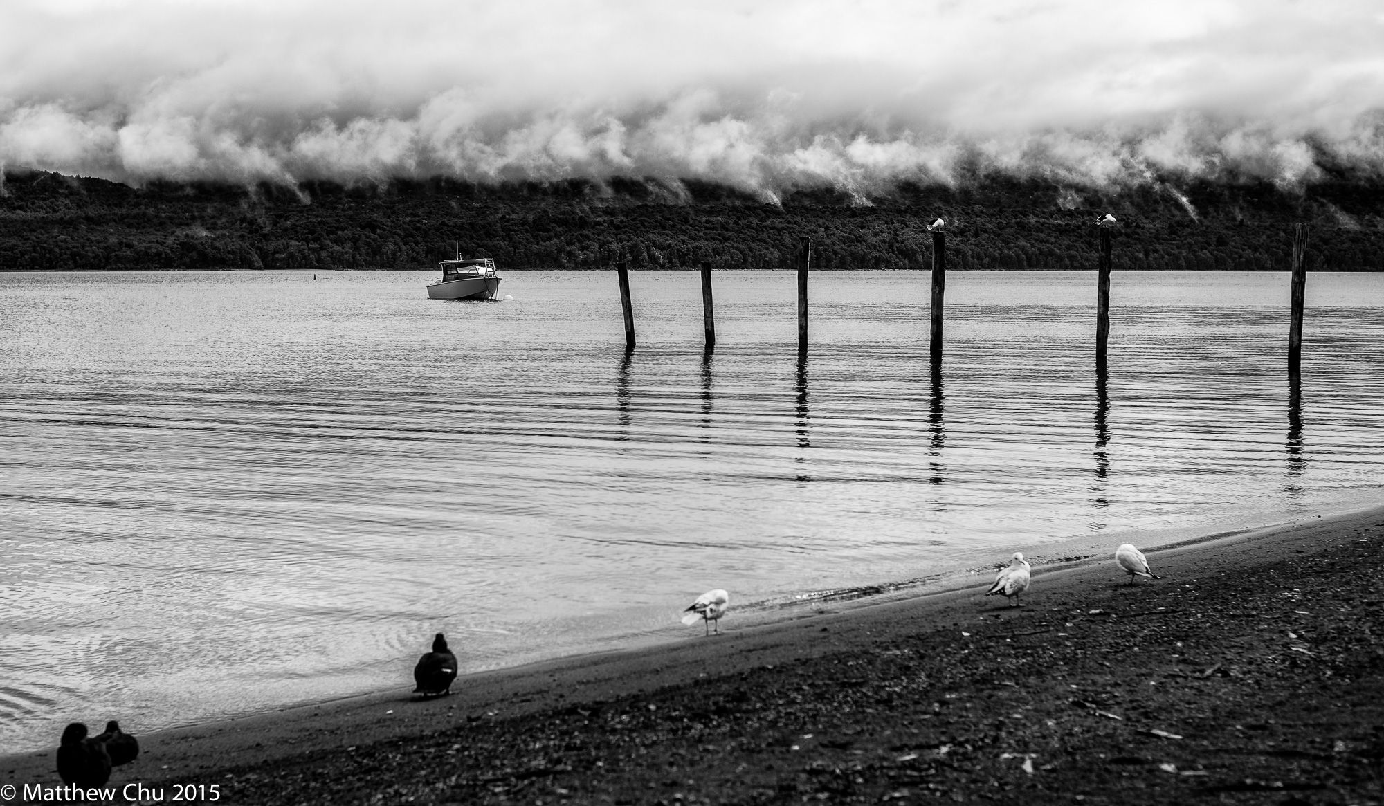 Te Anau Lakeshore, New Zealand