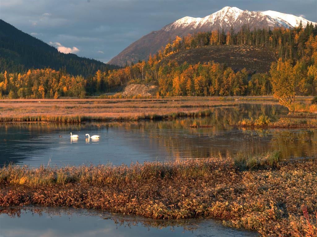 Tern Lake, Kenai Peninsula, Alaska, USA