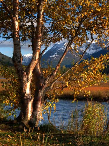 Tern Lake, Kenai Peninsula, Alaska