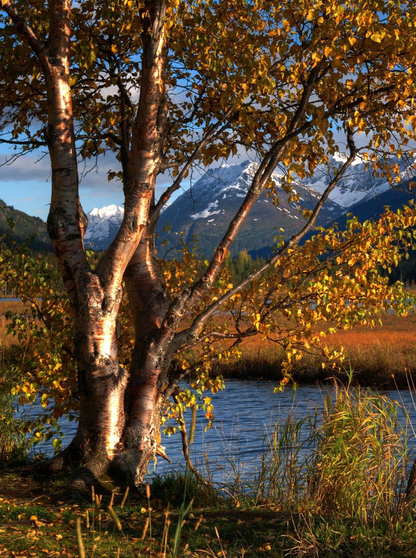 Tern Lake, Kenai Peninsula, Alaska, USA
