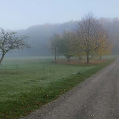 Teutoburger Wald unterhalb der Ochsenheide, Germany