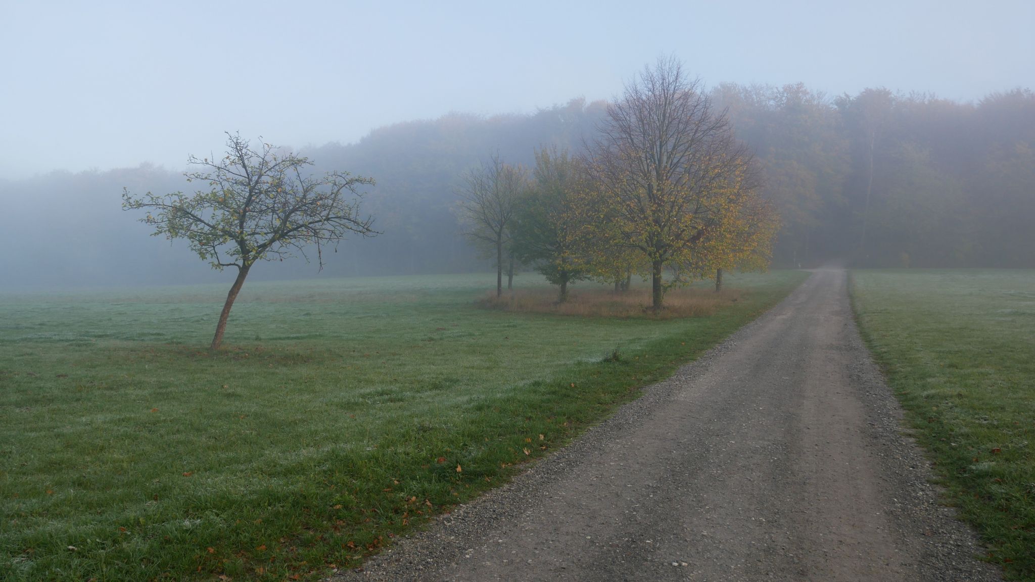 Teutoburger Wald unterhalb der Ochsenheide, Germany