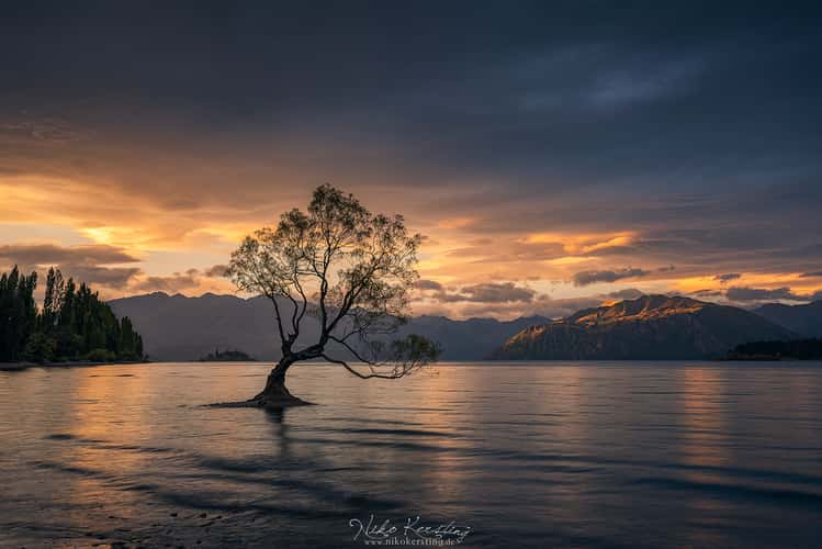 Lake Wanaka - The lonely Tree