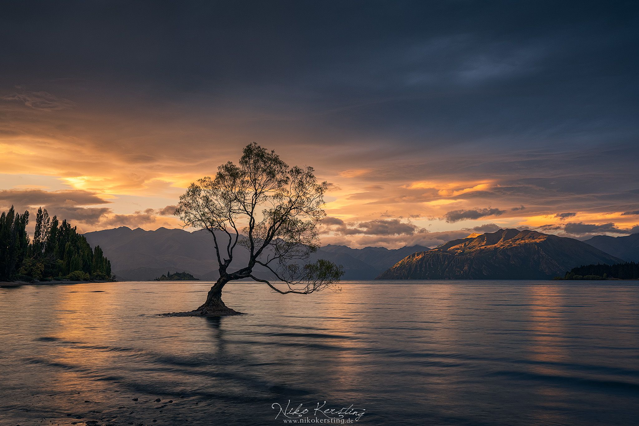 Lake Wanaka - The lonely Tree, New Zealand