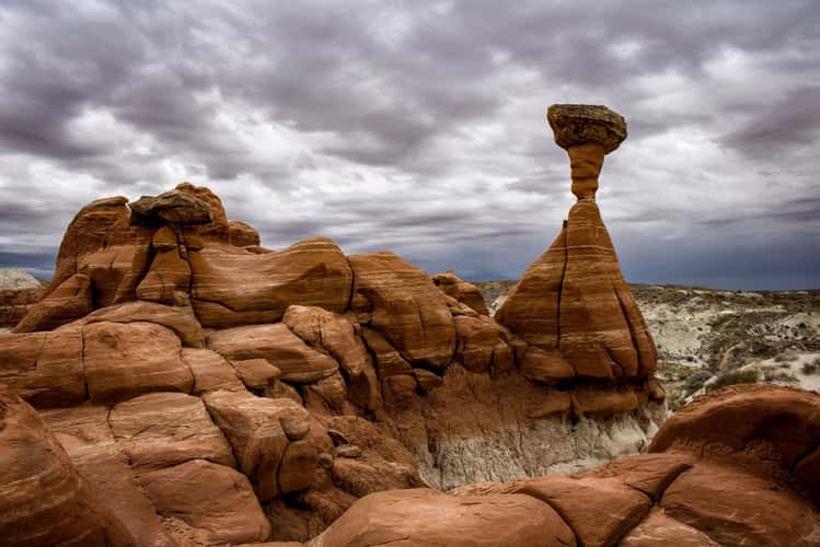 Toadstools