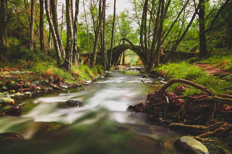 Tzelefos bridge
