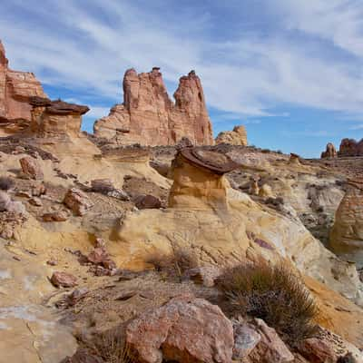 Valley of the Golden Mushroom, USA