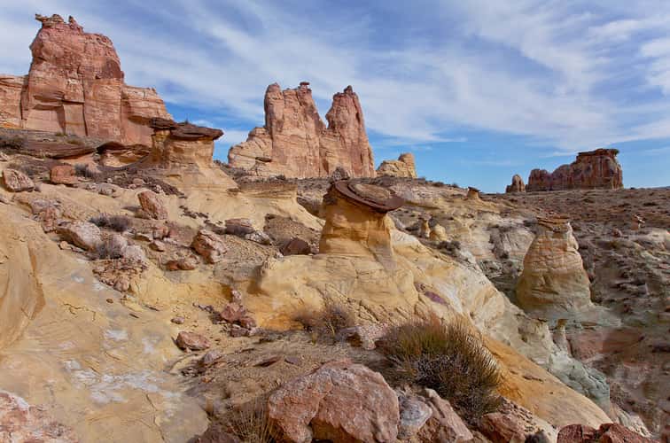 Valley of the Golden Mushroom