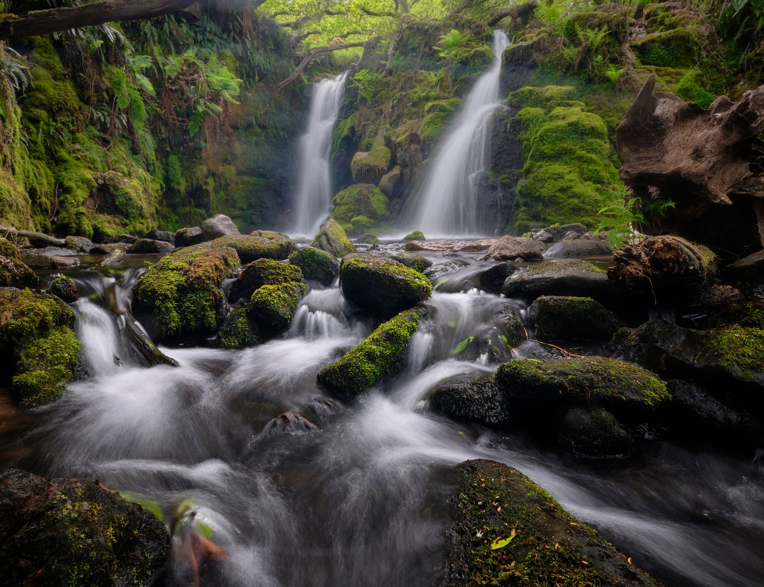 Venford woods, United Kingdom