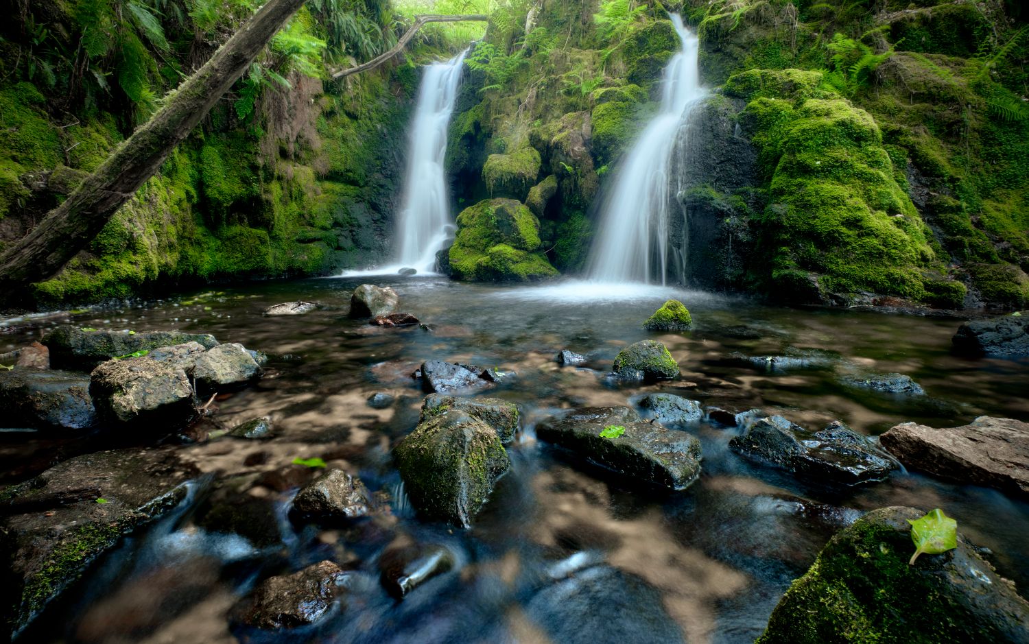 Venford woods, United Kingdom