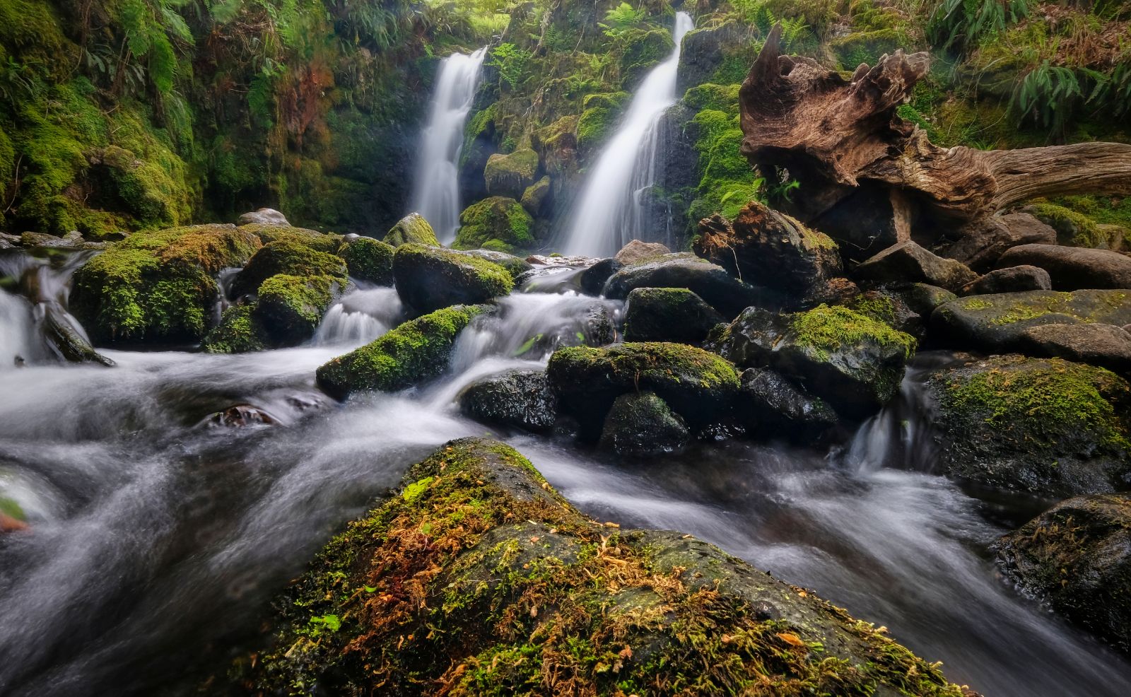 Venford woods, United Kingdom