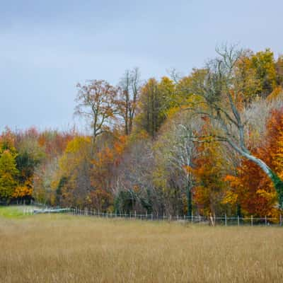 Wandlebury Country Park, United Kingdom