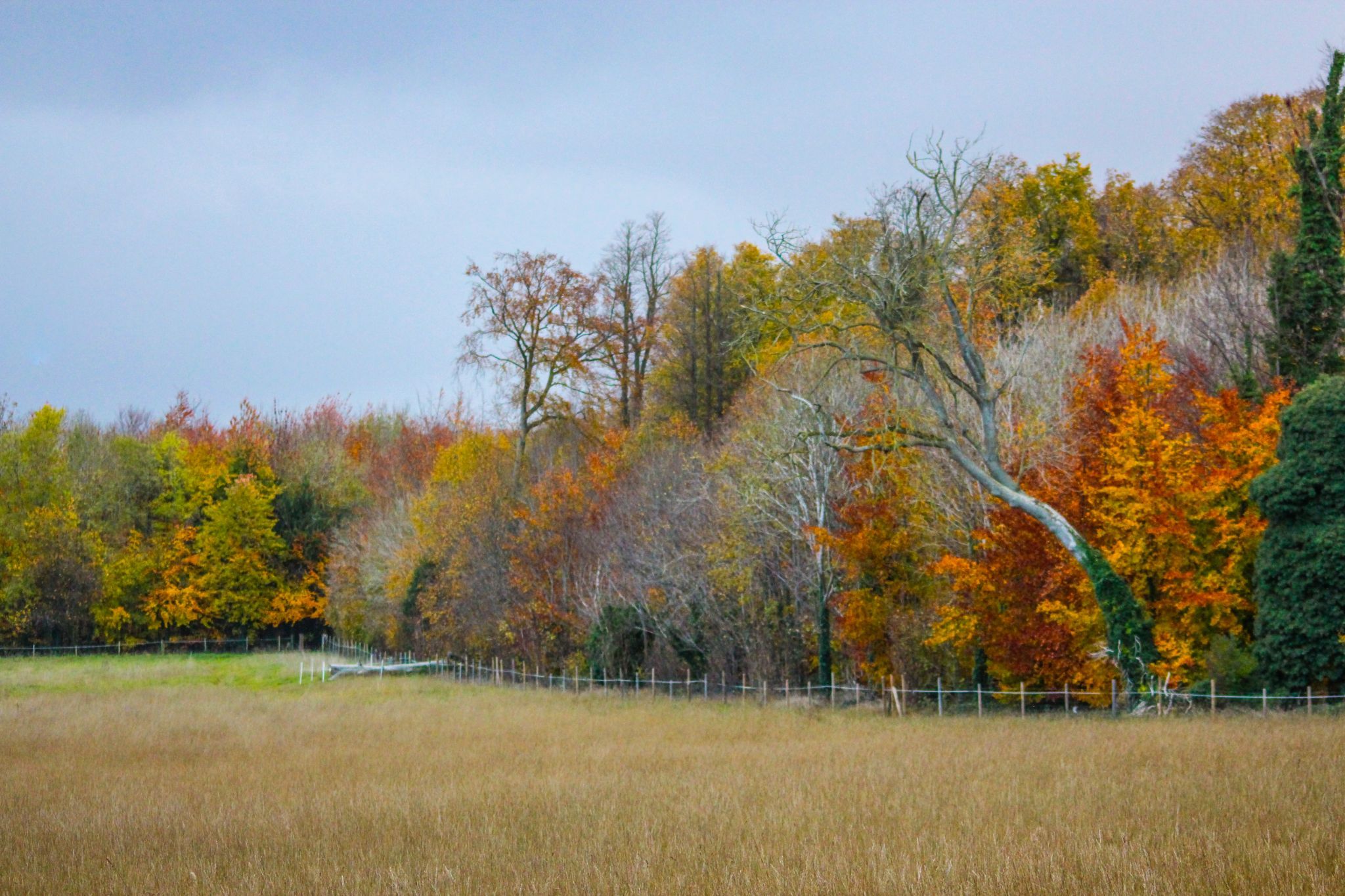 Wandlebury Country Park, United Kingdom