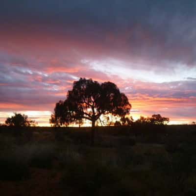 Watarrka National Park, Australia