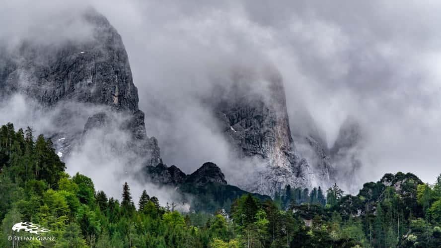 Weidendom im Nationalpark Gesäuse