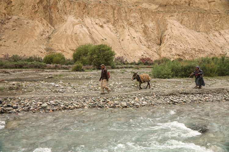 Weiter auf dem Markha Valley Trek