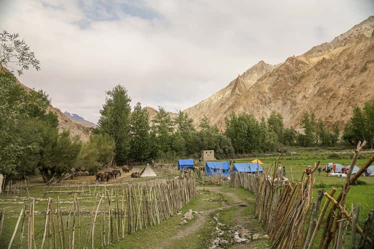 Weiter auf dem Markha Valley Trek