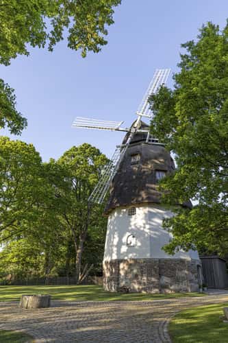 Windmill Heber