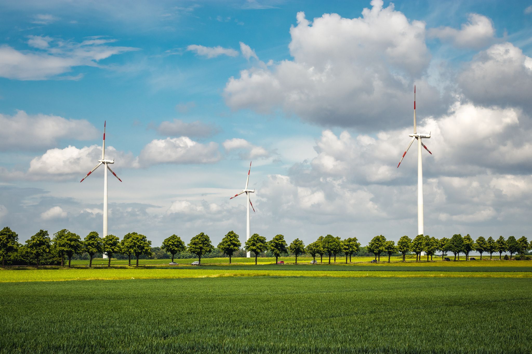 Windmills Marienburg, Germany