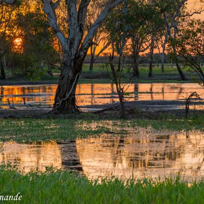 Yellow Water, Australia